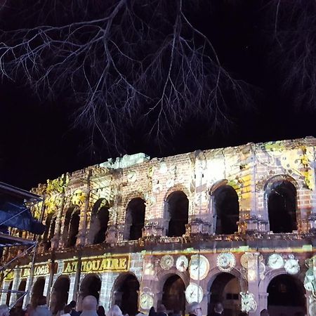 Ferienwohnung Palmiers Et Crocos Du Vieux Nîmes Exterior foto